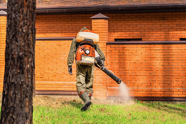 Trusted Ant Control service in Phillipsburg, NJ - Nex Pest Control